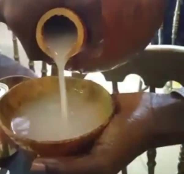 Palm Wine