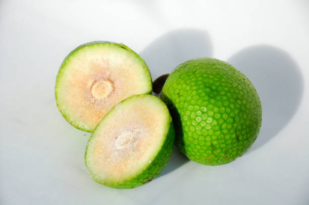 Health Benefits of Breadfruit (Ukwa)
