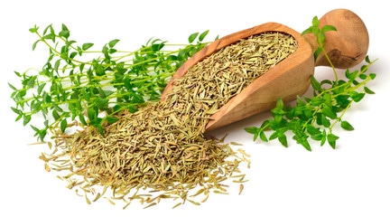 Health benefits of thyme