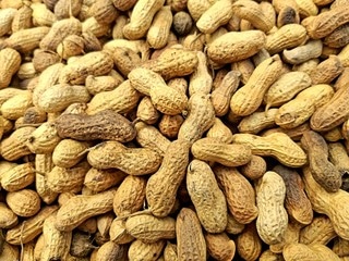 Does groundnut cause pimples?