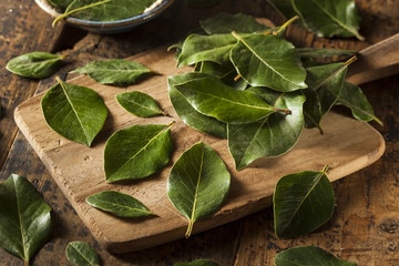 Health benefits of bay leaves