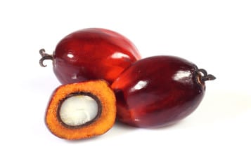 Palm kernel oil