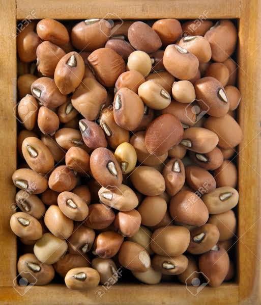 Nigerian brown beans