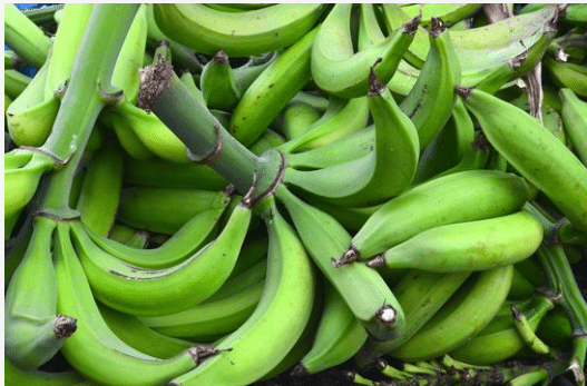 7 Amazing Health Benefits of Unripe Plantain - Health Guide NG