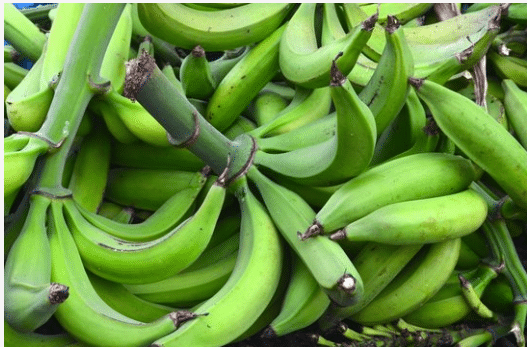 Health Benefits of Unripe plantains