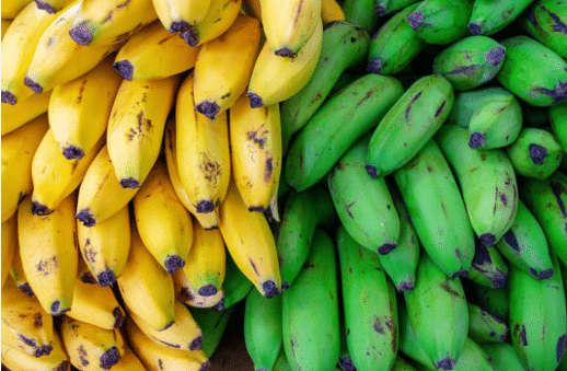 Unripe plantains vs. ripe plantains
