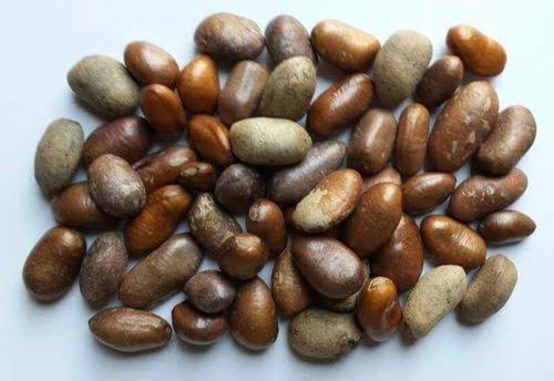 Health benefits of ehu seeds Monodora myristica