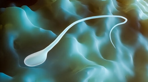 Is it healthy to swallow sperm