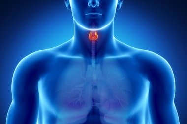 How to Care For Your Thyroid