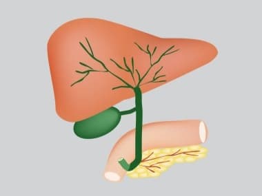 How to Keep Your Gall Bladder Healthy
