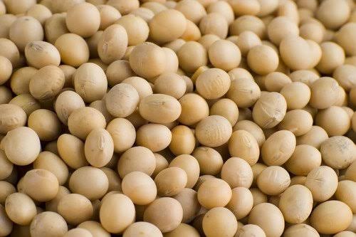 Soybeans Nigerian Foods Rich in Vitamin K