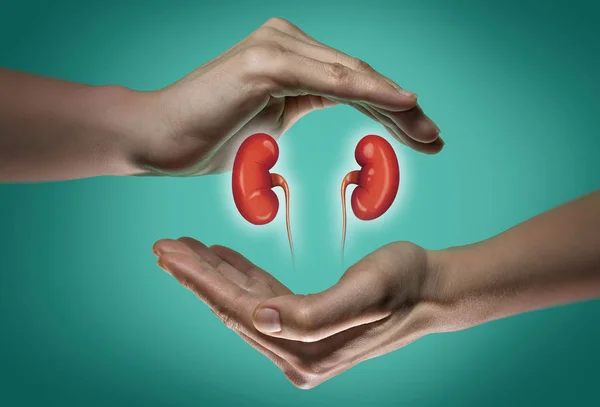 How To Protect Your Kidneys From Damage