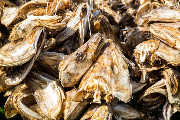 Seafoods Iodine-Rich Foods In Nigeria