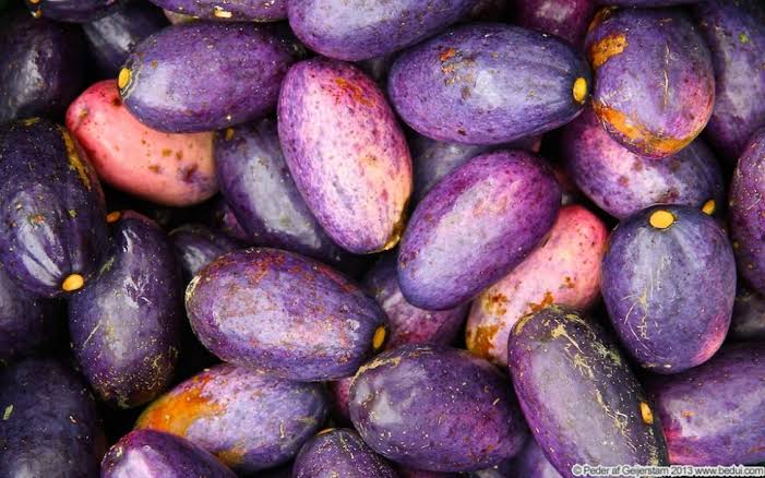 African Pear Ube seasonal foods in Nigeria