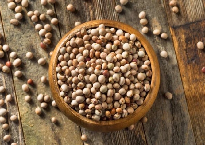 Health Benefits Of Pigeon Peas