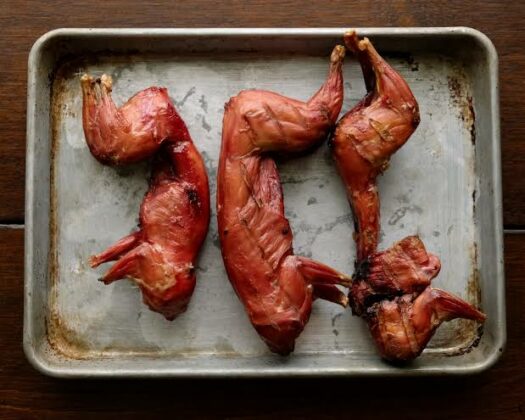 5 Surprising Health Benefits Of Squirrel Meat - Health Guide NG