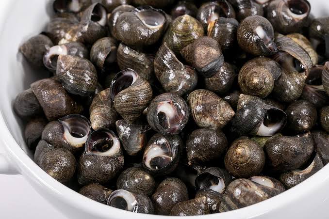 Health Benefits of Eating Periwinkles
