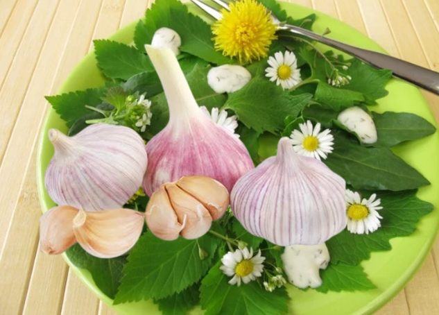 Health Benefits Of Dandelion And Garlic