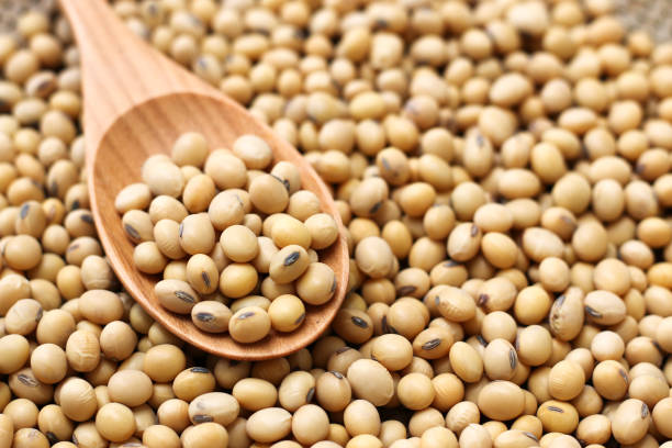 Soybeans common legumes in Nigeria 