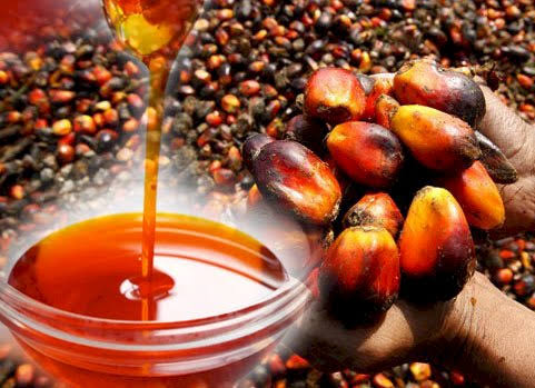Red Palm Oil Nigerian foods rich in vitamin A 