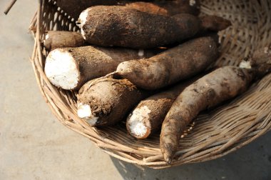 Cassava most eaten foods in Nigeria 
